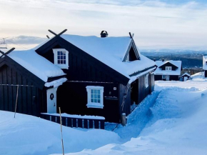 Holiday home Rauland VI